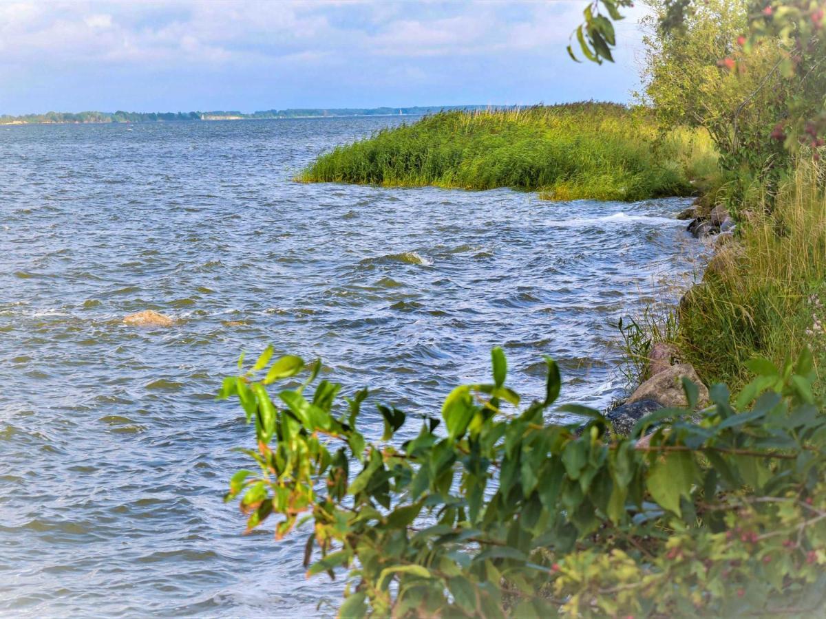 Bungalow Am Sund Stahlbrode Εξωτερικό φωτογραφία